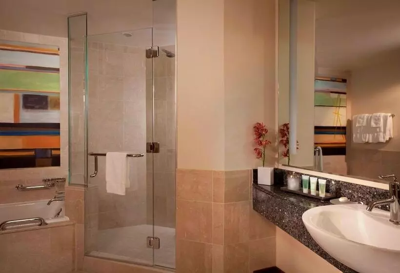 シティビューのダブルベッドスタンダードルーム, Jw Marriott Grand Rapids