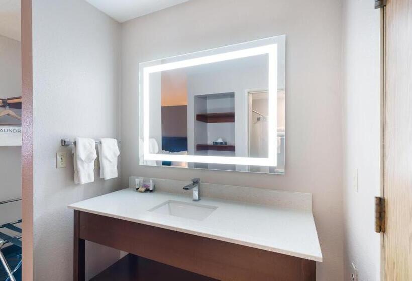 جناح ديلوكس سرير كينج, Red Lion Inn & Suites Kennewick Tri Cities