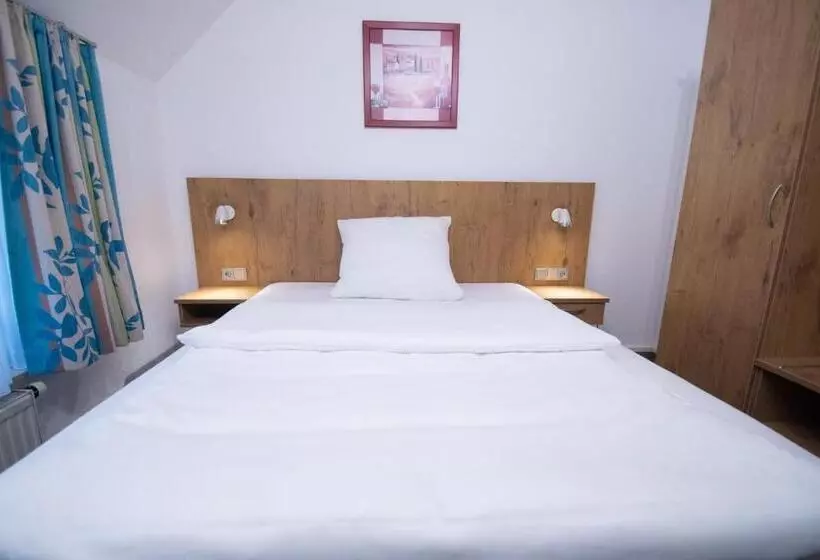 Standard Yhden Hengen Huone, Taste Smart Hotel Backnang
