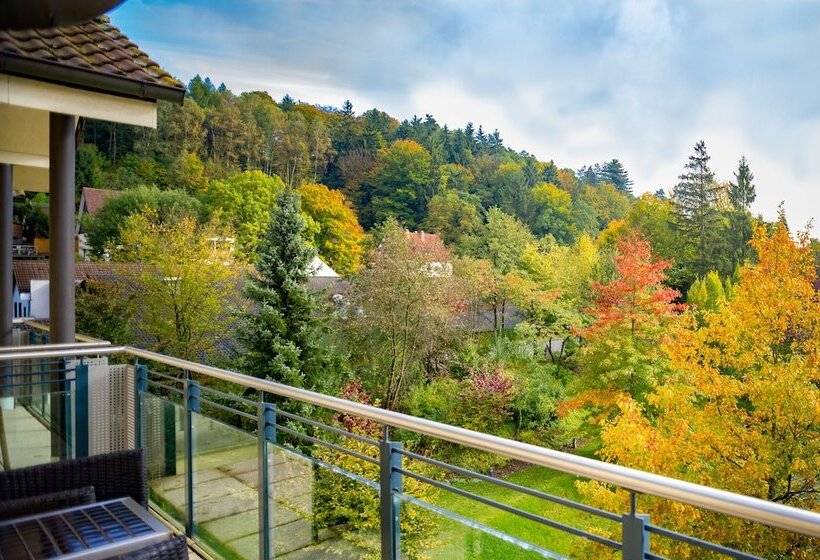 Номер Стандарт с Балконом, Villa Marburg Im Park