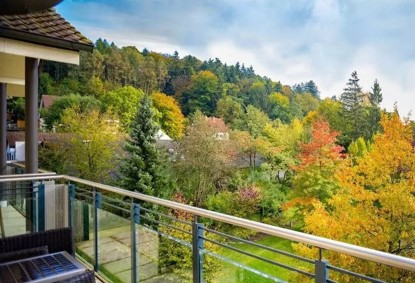 バルコニー付きスタンダードルーム, Villa Marburg Im Park