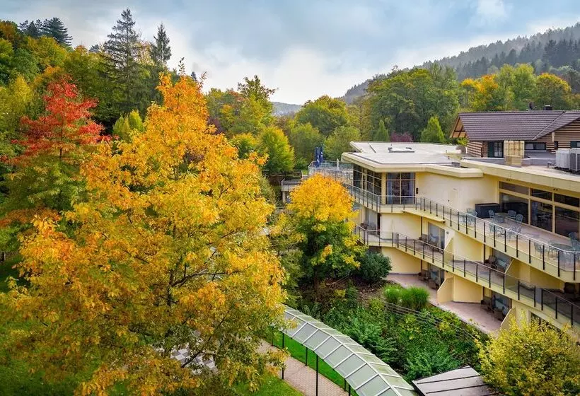 スタンダードルーム, Villa Marburg Im Park
