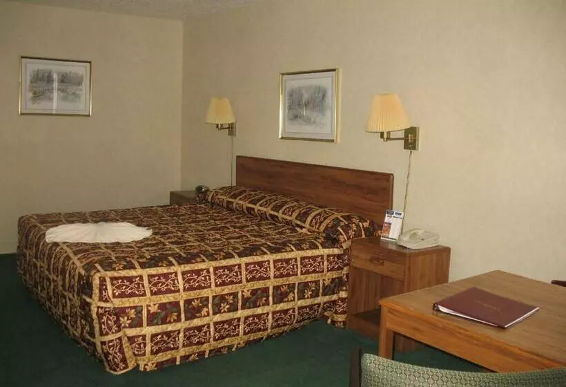 キングベッドのスタンダードシングルルーム, Great Lakes Inn