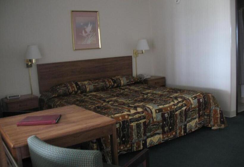 스탠다드 싱글 룸 킹 침대, Great Lakes Inn