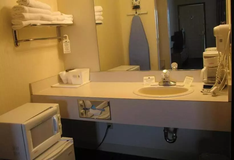身障者適用クイーンサイズベッドルーム, Great Lakes Inn