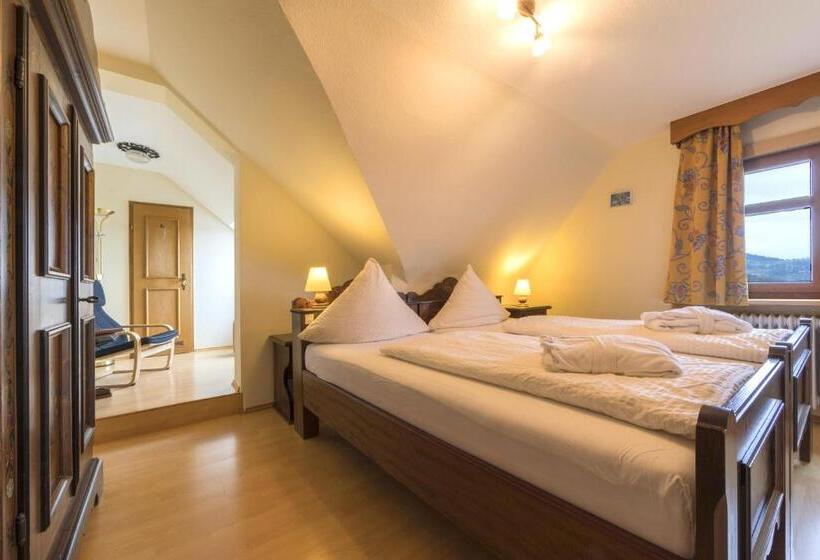 스탠다드 룸, Relaxhotel Tannenhof