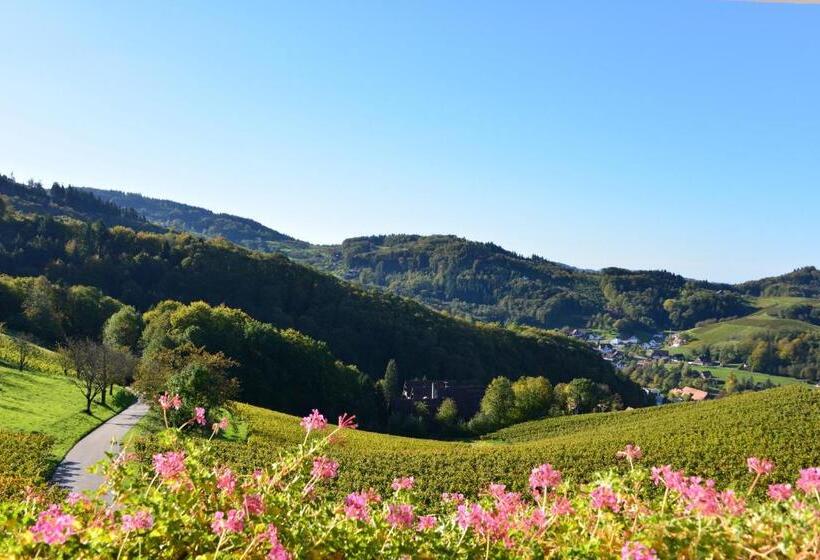 수피리어 룸, Relaxhotel Tannenhof