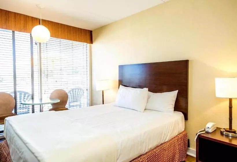 2 Bedroom Apartment Pool View, Blue Palms Resort