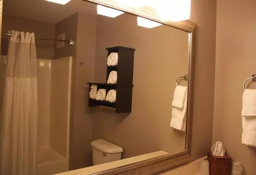 １ベッドルームアパートメント, Grandstay Hotel & Suites Ames