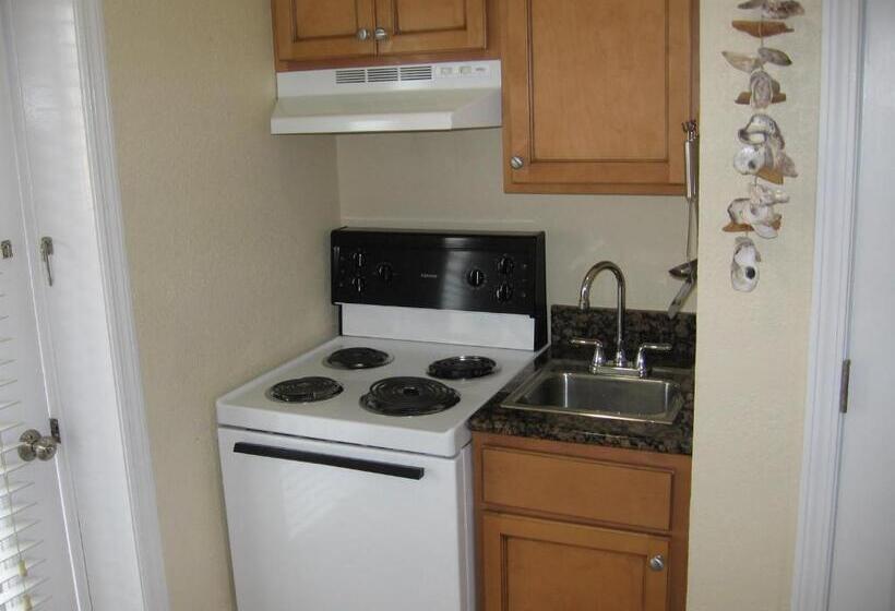 Studio Standard, A Beach Retreat On Casey Key