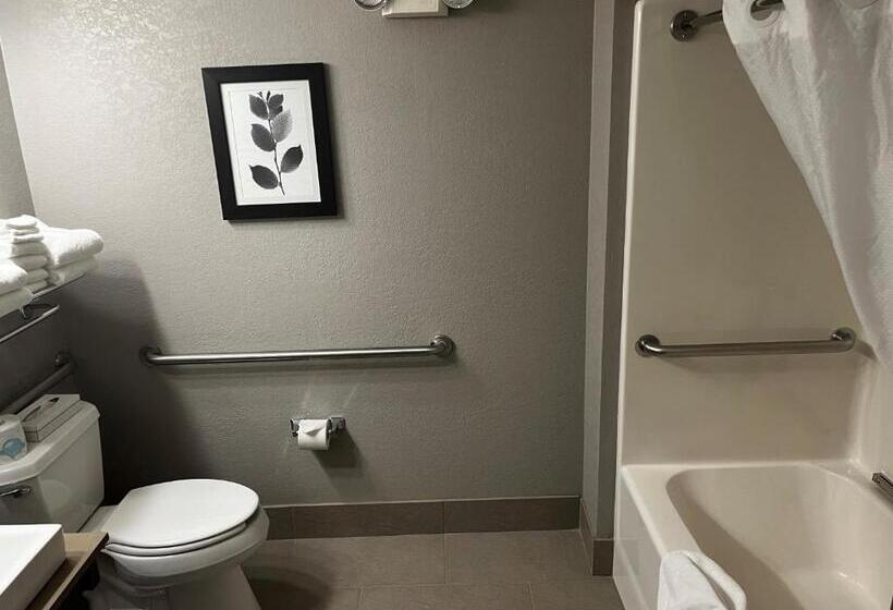 Люкс, Country Inn & Suites By Radisson, Madison Southwest, Wi