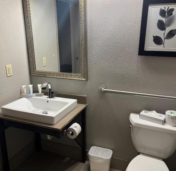 Номер Стандарт Адаптированный для Инвалидов, Country Inn & Suites By Radisson, Madison Southwest, Wi