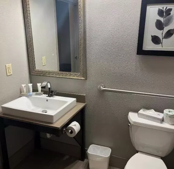 身障者適用スタンダードルーム, Country Inn & Suites By Radisson, Madison Southwest, Wi