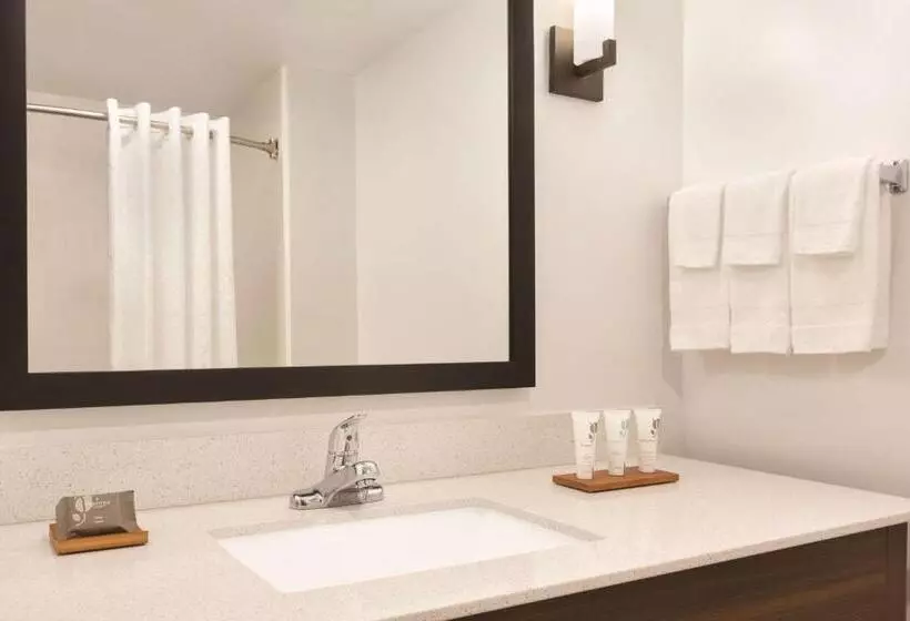 キングサイズベッドのスタンダードルーム, Country Inn & Suites By Radisson, Madison Southwest, Wi