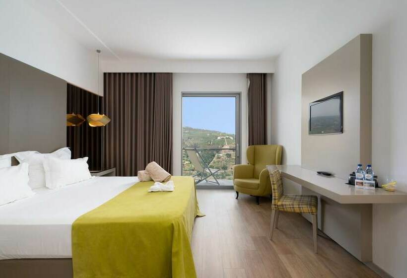 标准间带江景, Delfim Douro