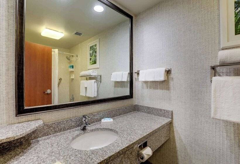 豪华房间, Drury Inn & Suites Montgomery