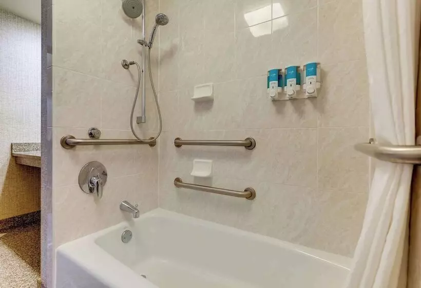 اتاق دلوکس مخصوص معلولین, Drury Inn & Suites Montgomery