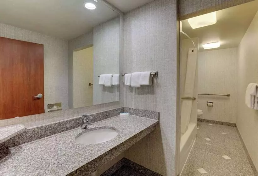 اتاق دلوکس مخصوص معلولین, Drury Inn & Suites Montgomery