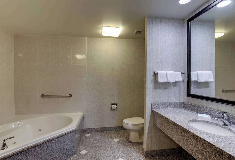 豪华房间, Drury Inn & Suites Montgomery