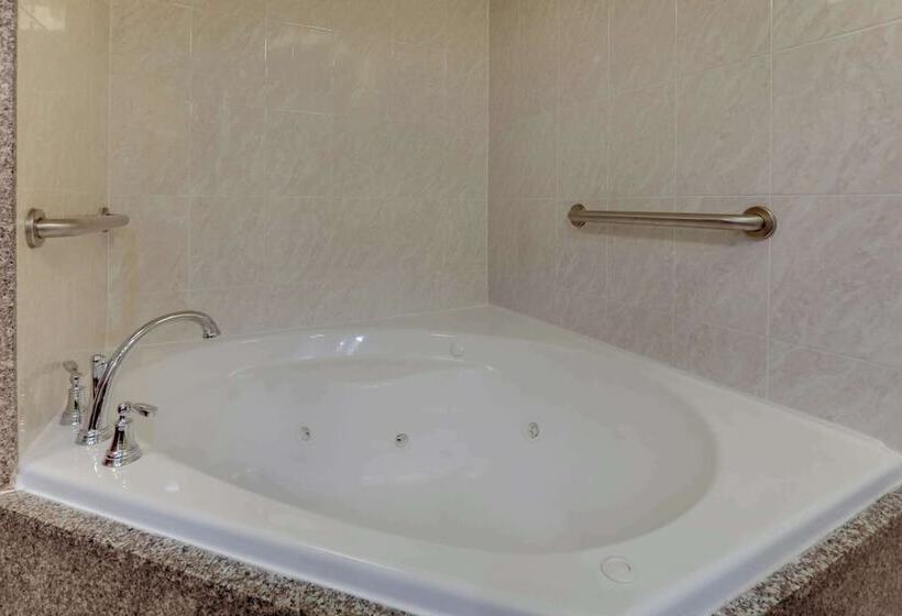 豪华房间, Drury Inn & Suites Montgomery