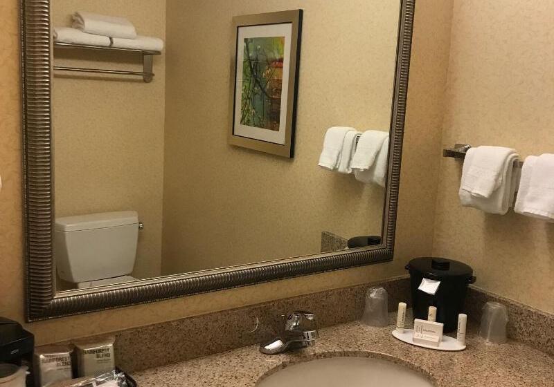 غرفة قياسية سرير كينج, Fairfield Inn And Suites Sacramento Airport Natomas