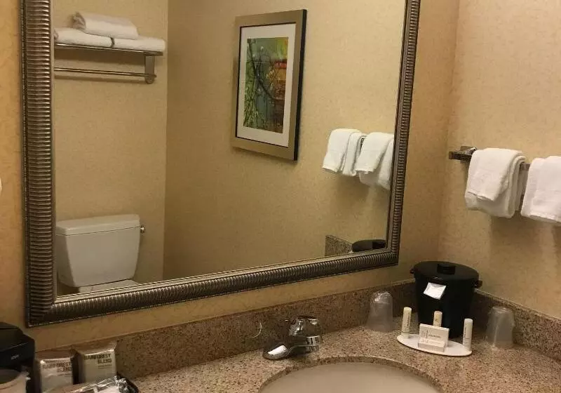 اتاق استاندارد با تخت بزرگ, Fairfield Inn And Suites Sacramento Airport Natomas