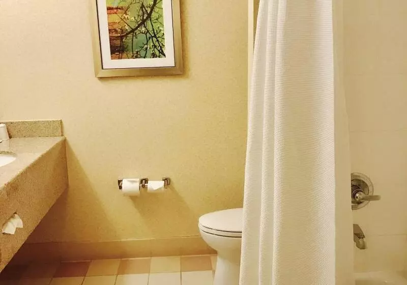 اتاق استاندارد با تخت بزرگ, Fairfield Inn And Suites Sacramento Airport Natomas