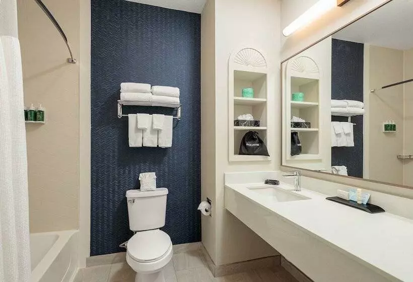 スイート, Fairfield Inn & Suites San Angelo