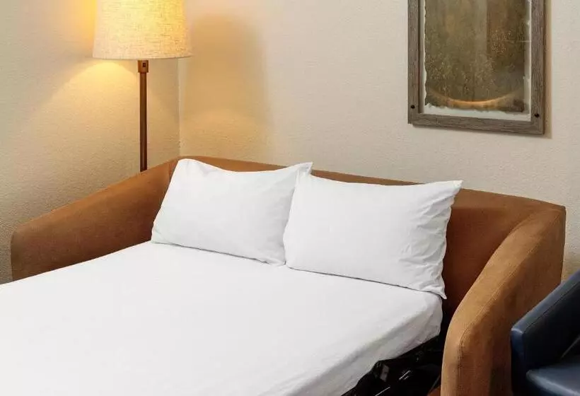 キングサイドベッドのスタンダードワンルーム, Fairfield Inn & Suites San Angelo