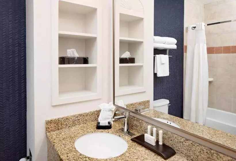 キングサイドベッドのスタンダードワンルーム, Fairfield Inn & Suites San Angelo