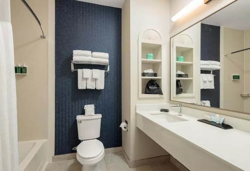 キングサイドベッドのスタンダードワンルーム, Fairfield Inn & Suites San Angelo
