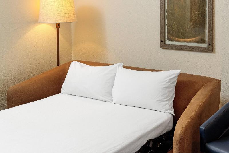 استودیو استاندارد با تخت کینگ, Fairfield Inn & Suites San Angelo