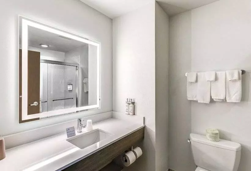 Sviitti Liikuntarajoitteisille, Holiday Inn Express Hotel & Suites Salina, An Ihg