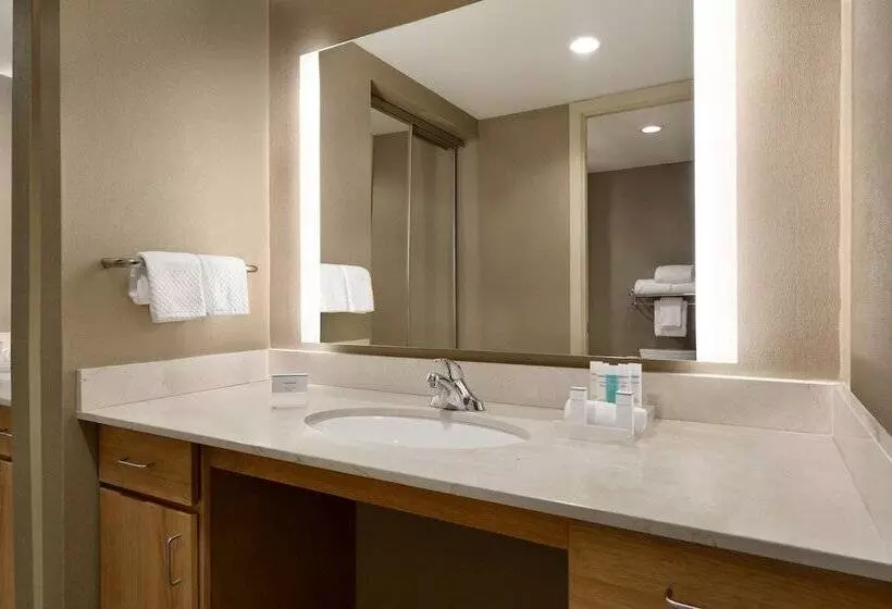 スイート, Homewood Suites By Hilton University City