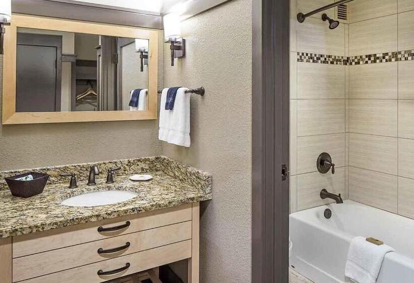 带大床的标准间, Lied Lodge At Arbor Day Farm