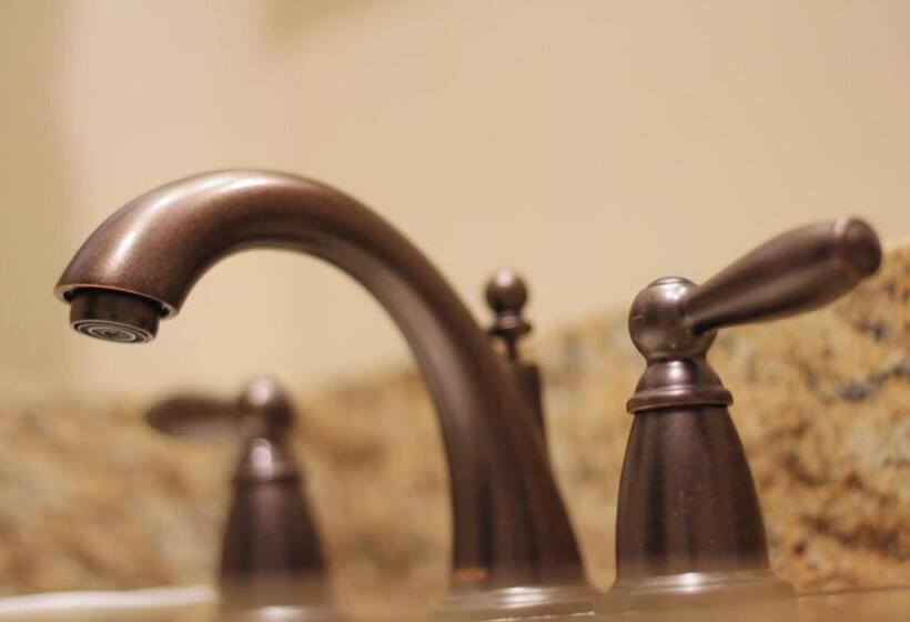 带大床的标准间, Lied Lodge At Arbor Day Farm