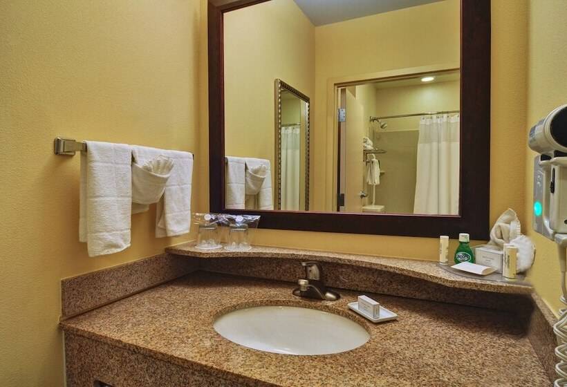 套房, Springhill Suites By Marriott Dallas Dfw Airport East Las Colinas Irving