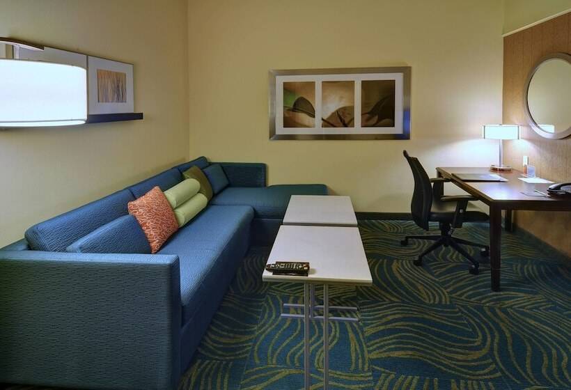 套房, Springhill Suites By Marriott Dallas Dfw Airport East Las Colinas Irving