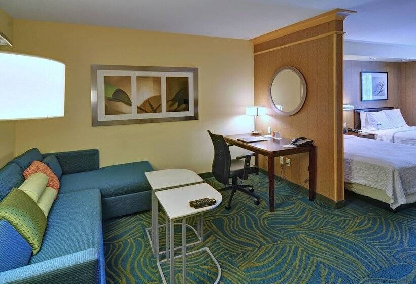 套房, Springhill Suites By Marriott Dallas Dfw Airport East Las Colinas Irving