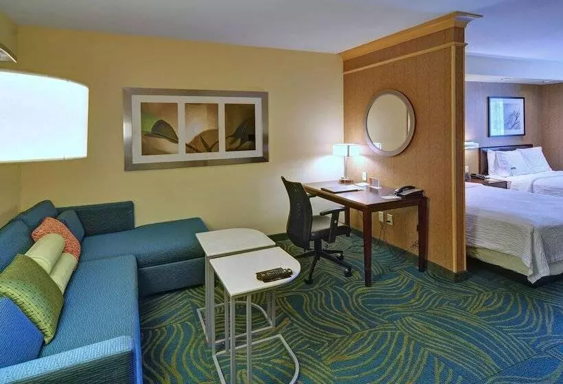 スイート, Springhill Suites By Marriott Dallas Dfw Airport East Las Colinas Irving