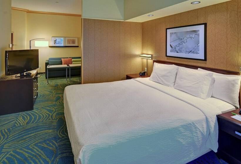 套房, Springhill Suites By Marriott Dallas Dfw Airport East Las Colinas Irving