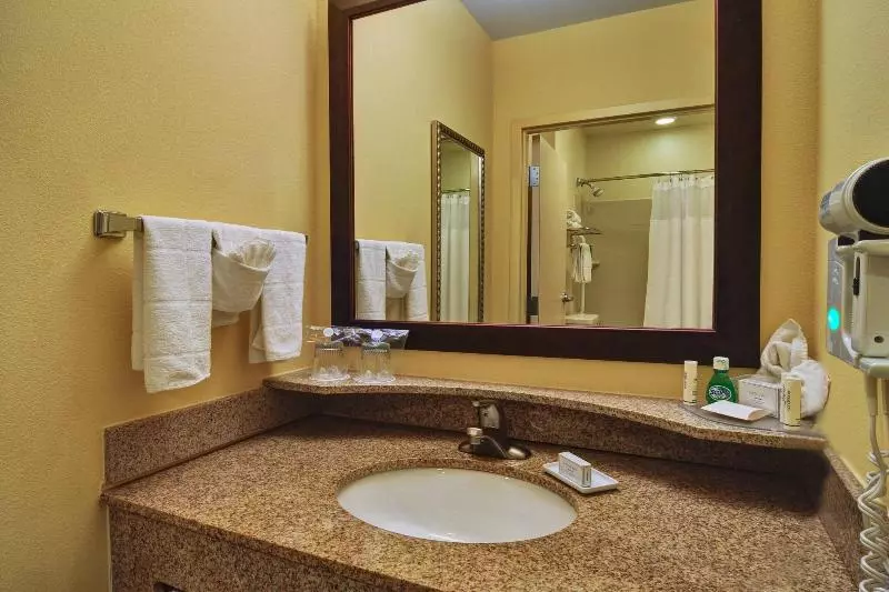 キングサイズベッドのスイートルーム, Springhill Suites By Marriott Dallas Dfw Airport East Las Colinas Irving