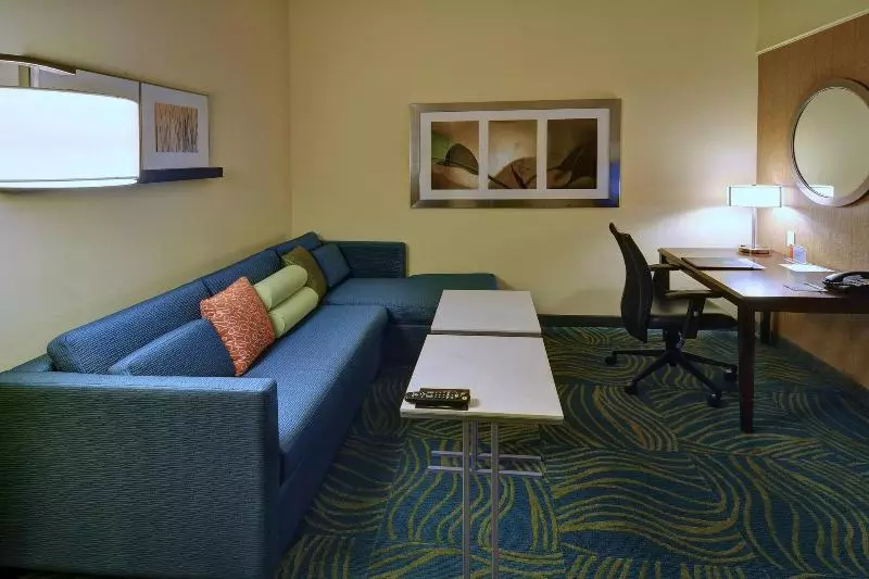 キングサイズベッドのスイートルーム, Springhill Suites By Marriott Dallas Dfw Airport East Las Colinas Irving