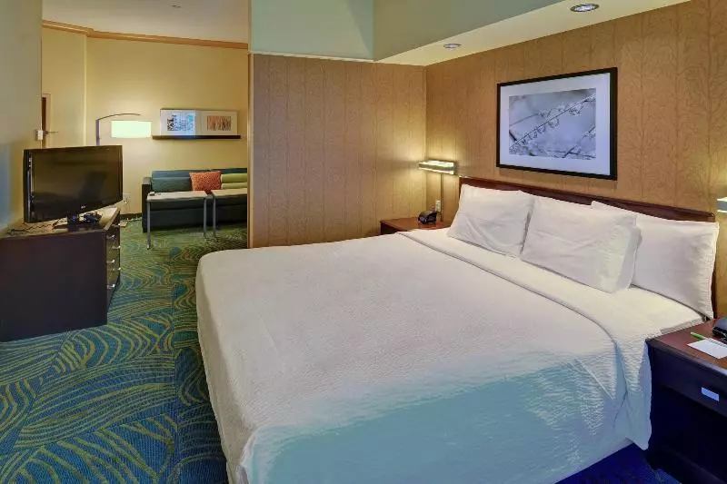 キングサイズベッドのスイートルーム, Springhill Suites By Marriott Dallas Dfw Airport East Las Colinas Irving