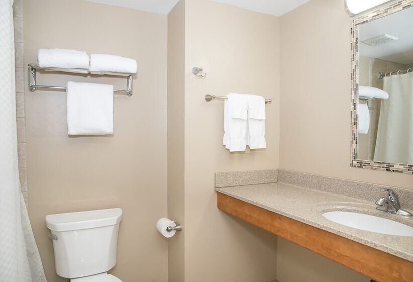 غرفة قياسية سرير كينج, The Sea Ranch Resort