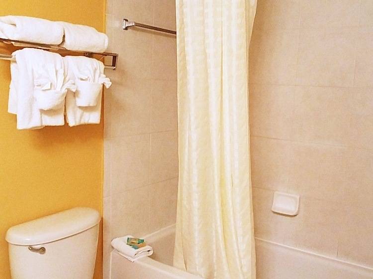 غرفه قياسيه سريرين مزدوجين, Emerald Shores Hotel   Daytona Beach