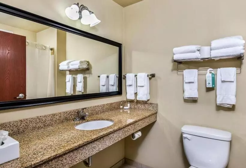 キングサイズベッドのスタンダードルーム, Cobblestone Inn & Suites   Vinton, Ia