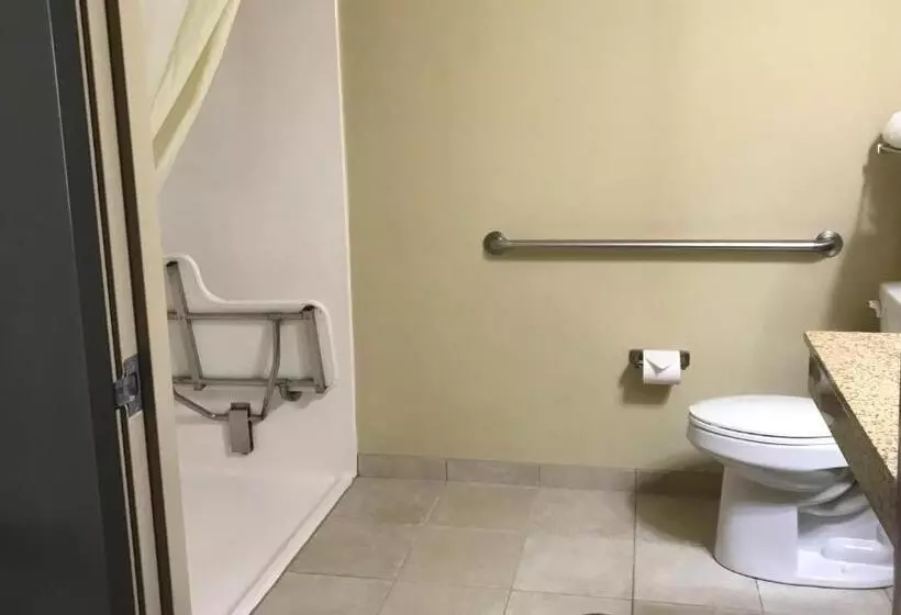 身障者適用キングサイズベッドルーム, Cobblestone Inn & Suites   Vinton, Ia
