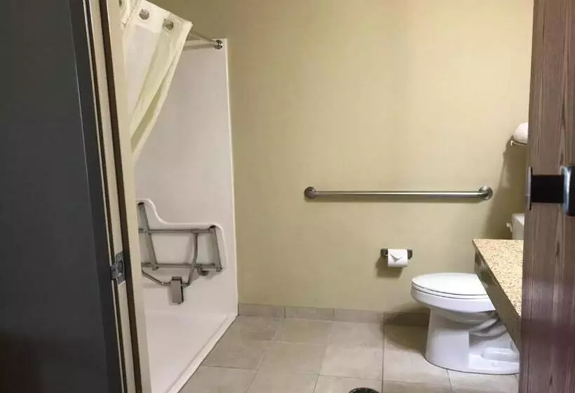 身障者適用キングサイズベッドルーム, Cobblestone Inn & Suites   Vinton, Ia