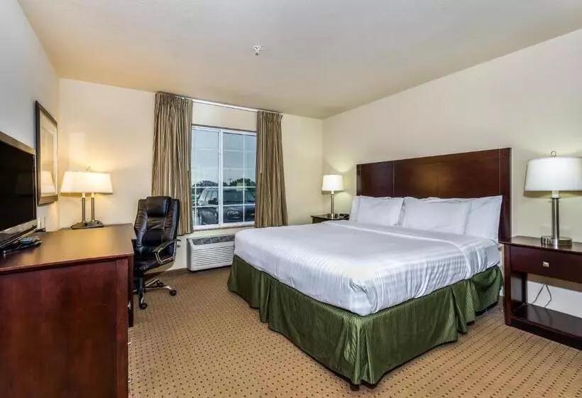 身障者適用キングサイズベッドルーム, Cobblestone Inn & Suites   Vinton, Ia